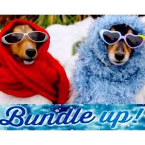 **BUNDLE YOUR LIKES**